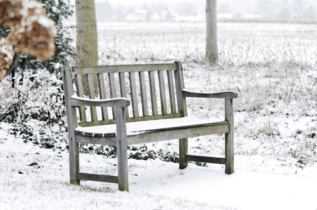 A wooden bench dusted with snow in a tranquil winter landscape.