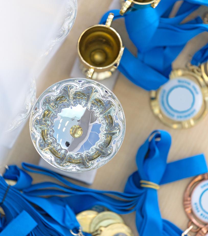 Assorted trophies and blue ribbon awards on a table.